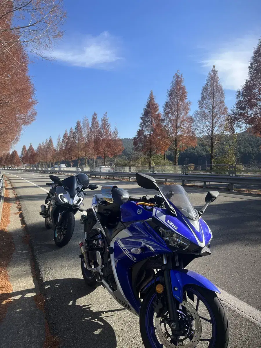 YZF-R3