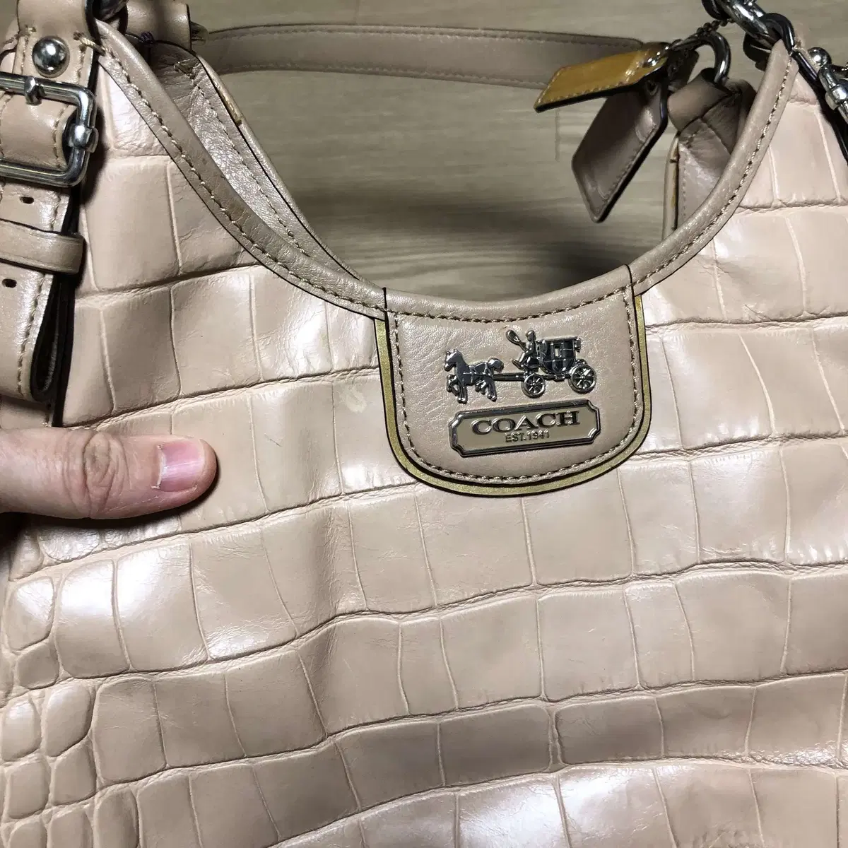 ONE SIZE) 코치 COACH 크로커다일 레더 호보백 토드백 코치가방