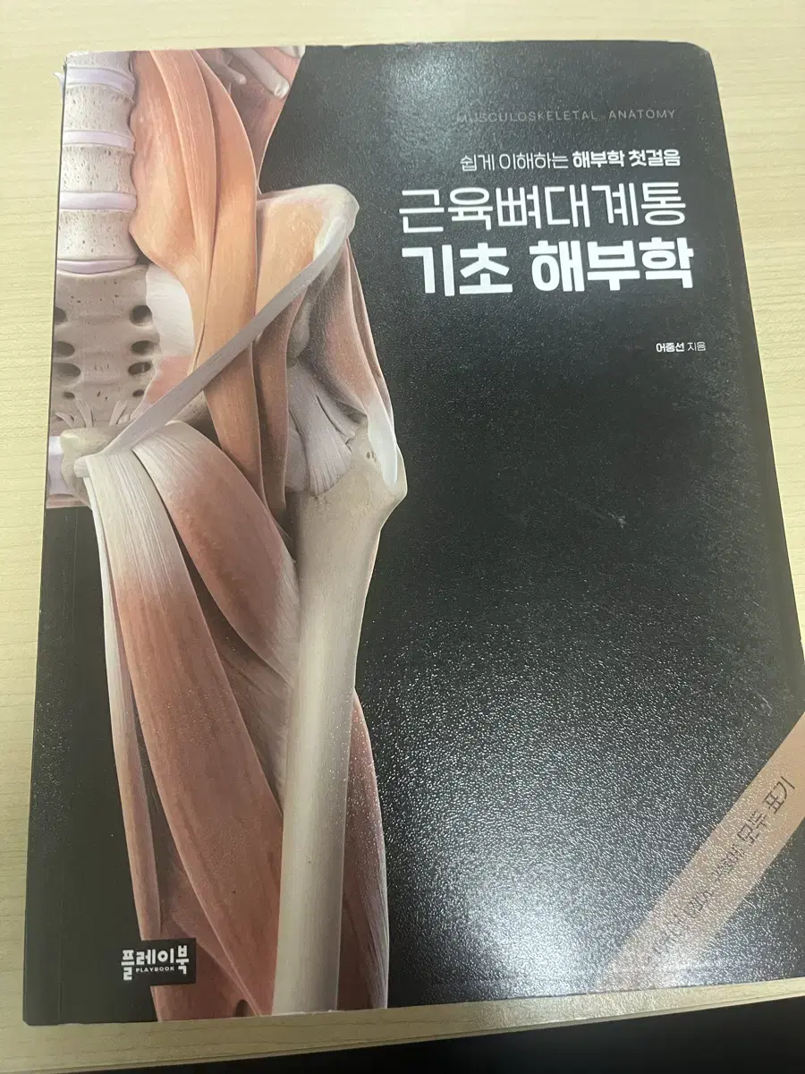 근육뼈대계통 기초해부학