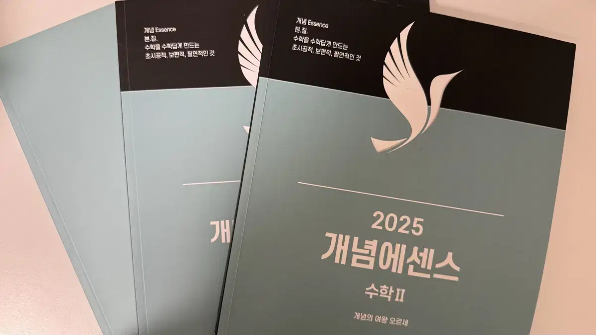 2025 오르새 개념에센스