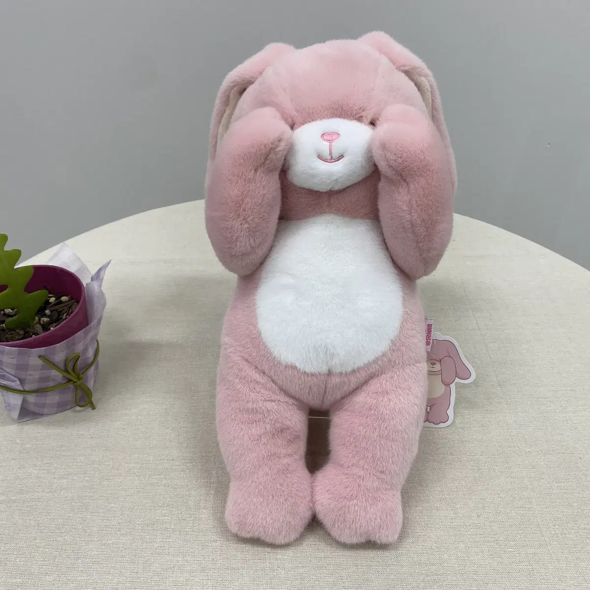 부끄러버 토끼 인형 30cm 2종