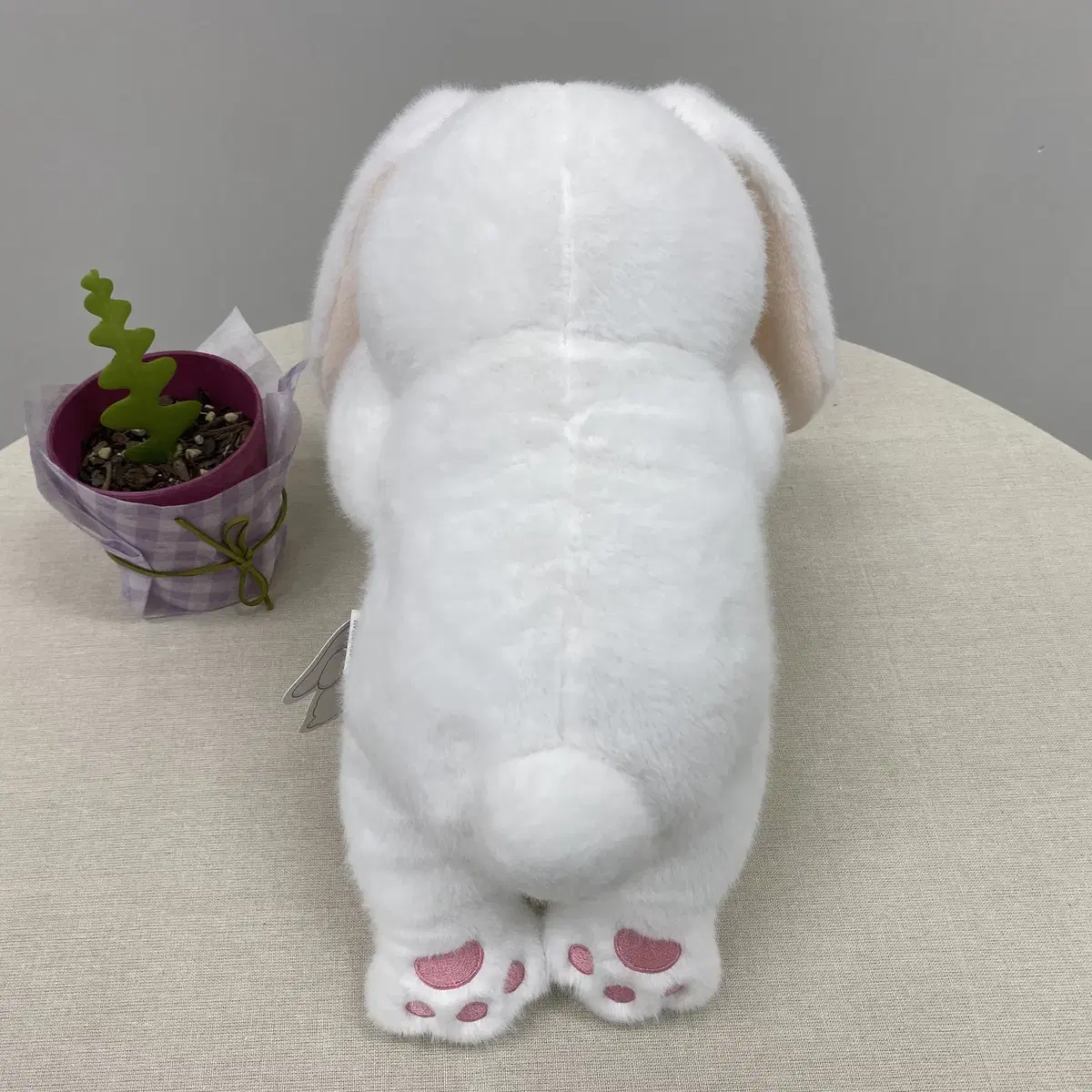 부끄러버 토끼 인형 30cm 2종