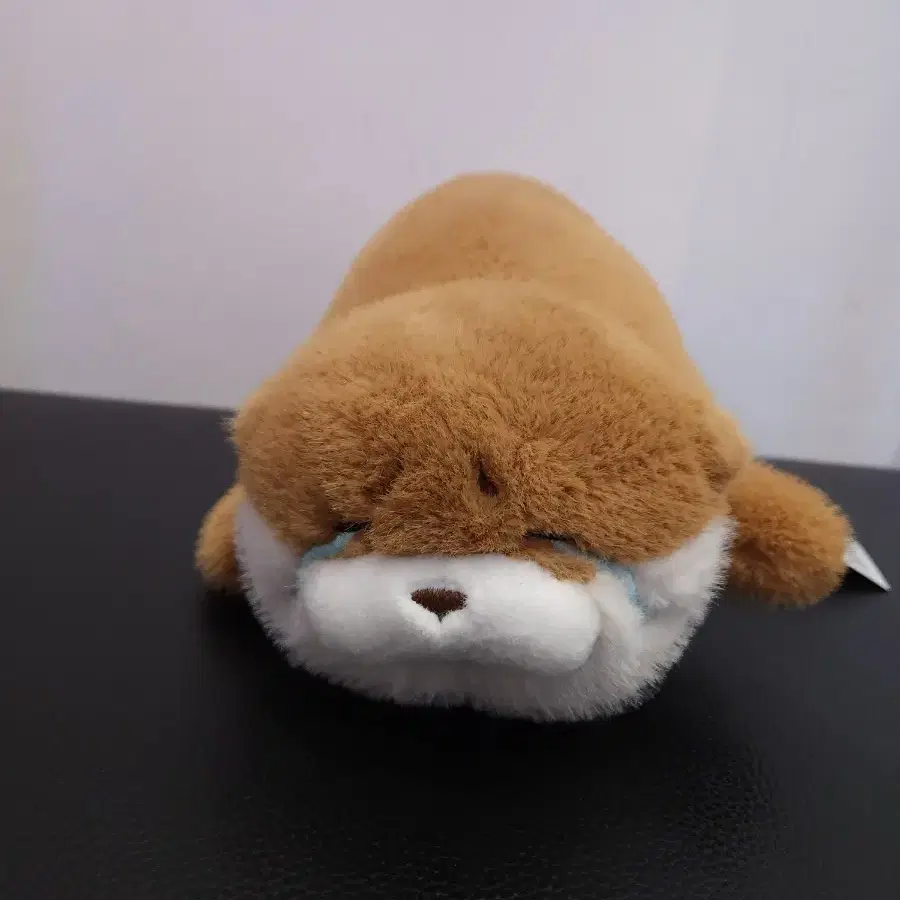 우소우소짱 인형 라잉 새상품입니다.30cm