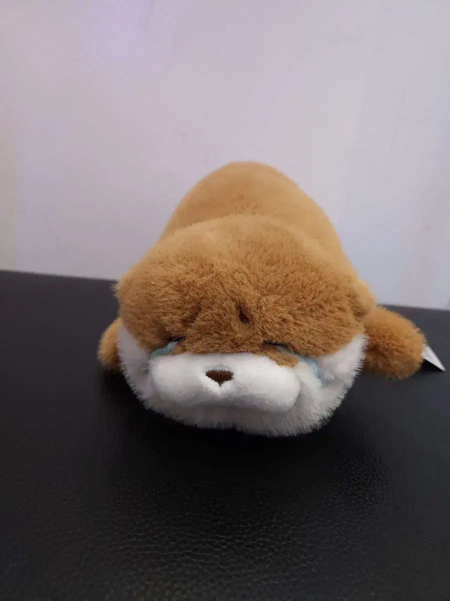 우소우소짱 인형 라잉 새상품입니다.30cm