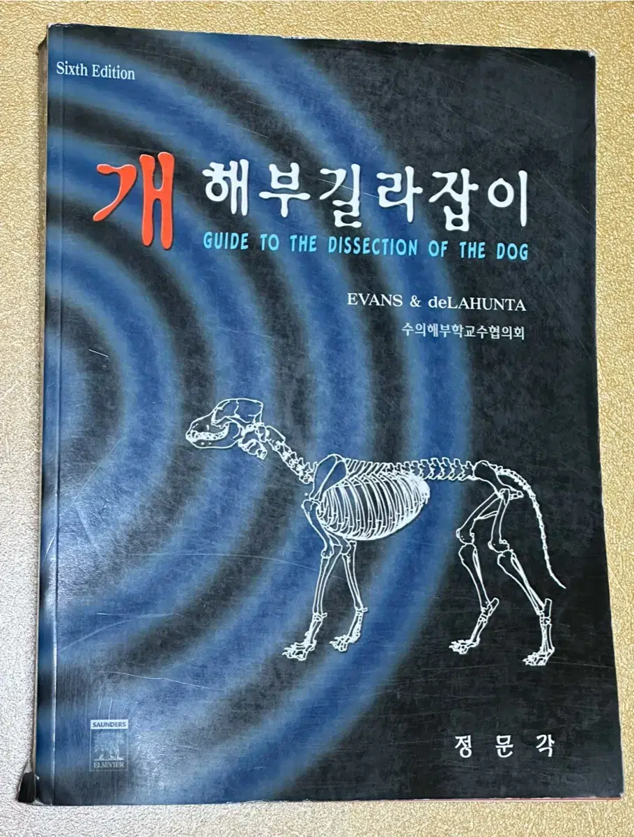 개래부길라잡이