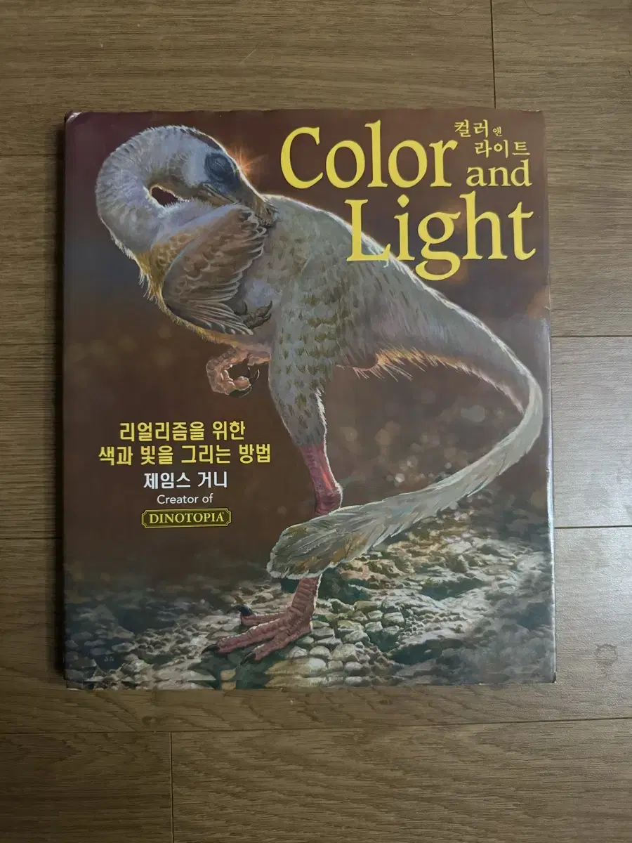 컬러앤라이트 color & light 작법서