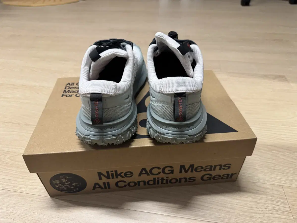 Nike ACG Mountain Fly 2 Low Gore-Tex Pha