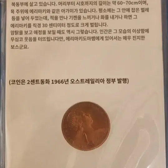 외국, 세계동전, 일본 도마뱀동화1966년