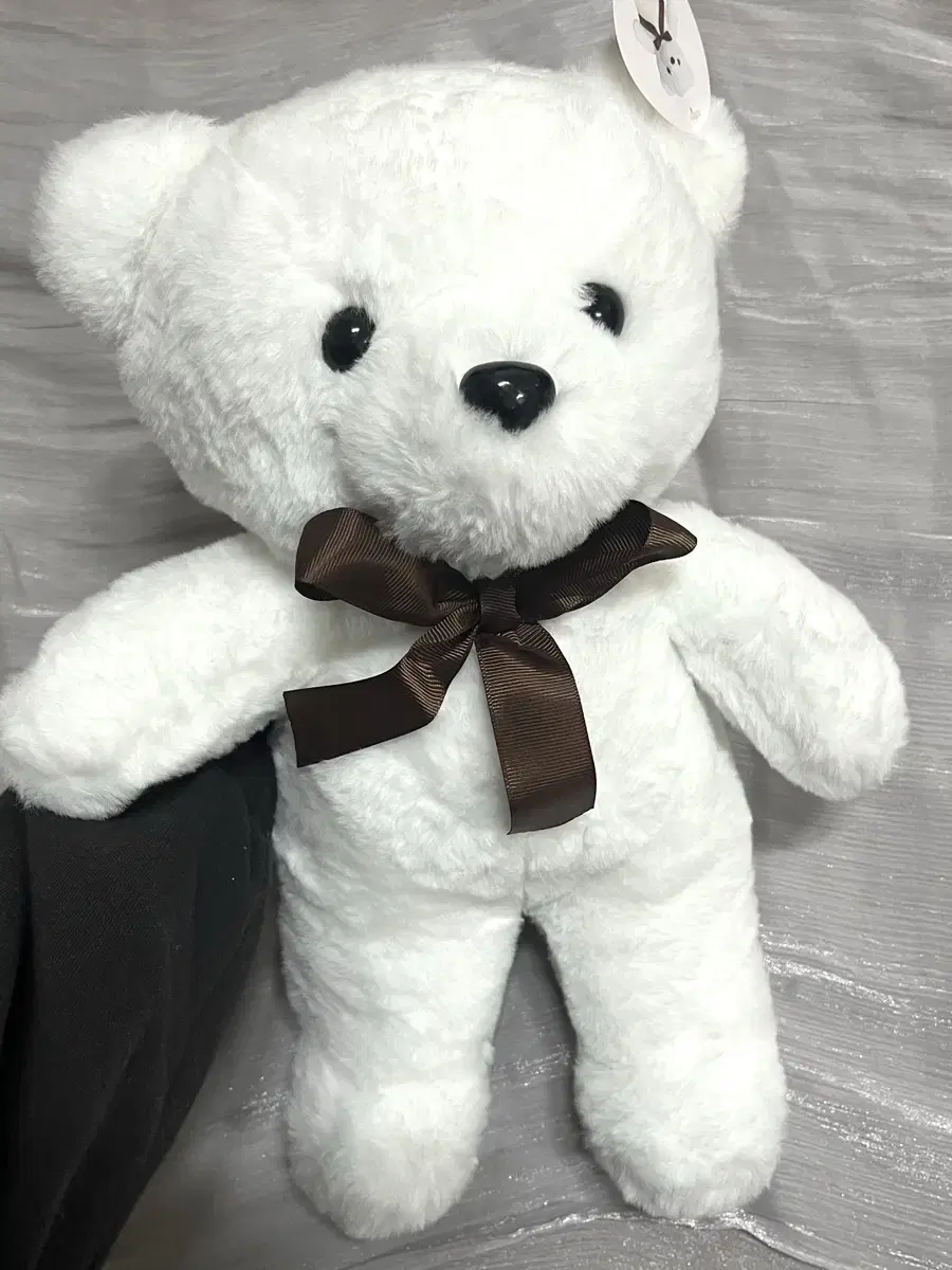 곰인형 화이트 35cm 새상품 곰 인형 저렴하게 가져가세용~