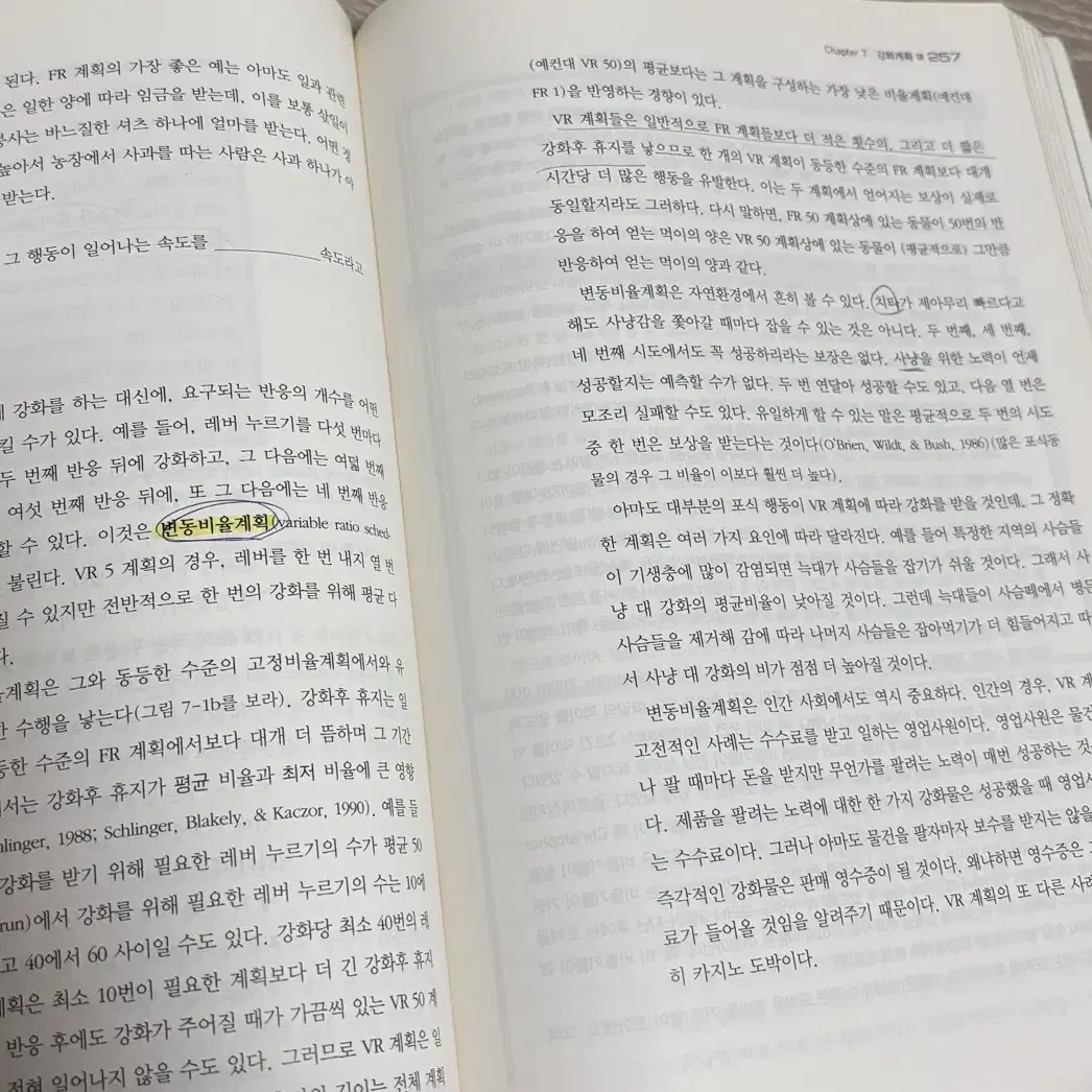 학습과 행동(7판)