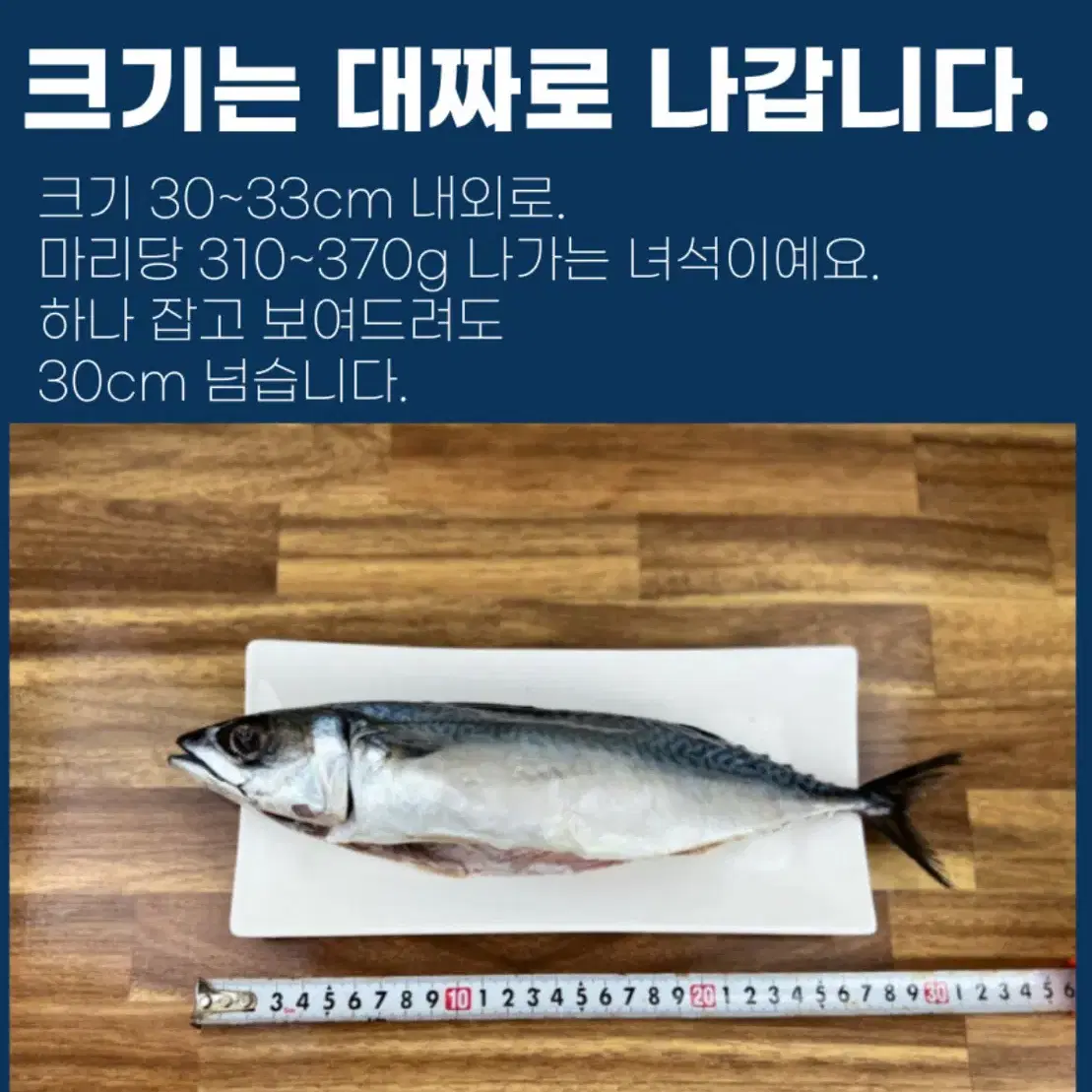 국내산 부산 손질 자반 고등어 대 10마리 대짜 310g 이상 간고등어