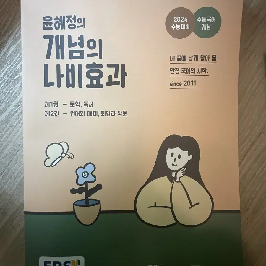 윤혜정의 개념의 나비효과