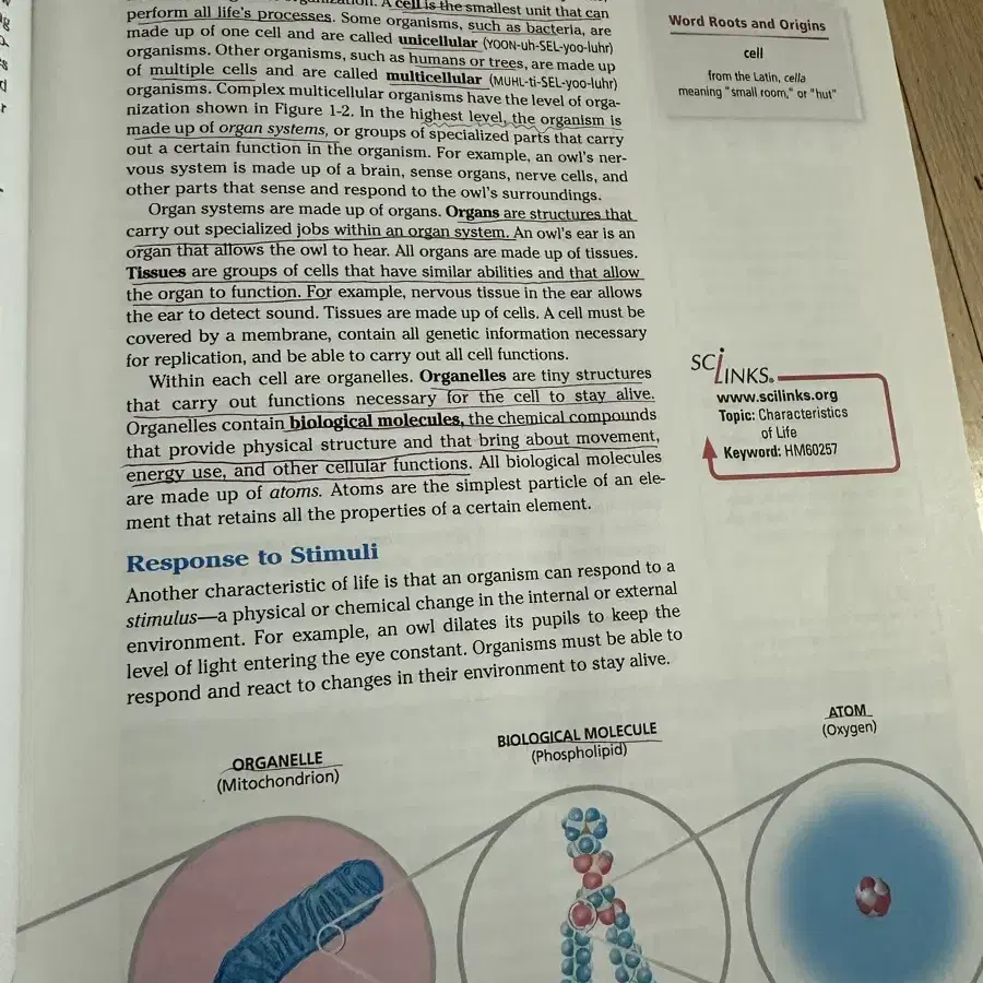 Holt biology 영어 원서