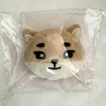 DAY6 일본 투어 봉제 인형 배치 영케이 영케이 KE