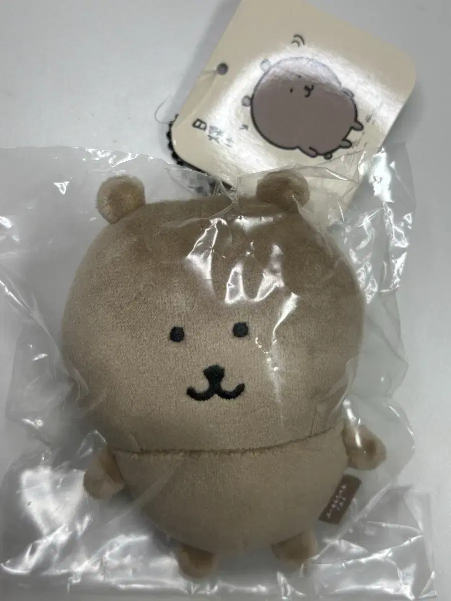 태닝곰 농담곰