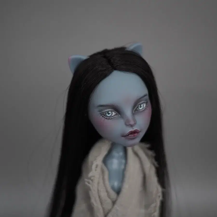 몬하돌 몬스터하이돌 monsterhighdoll ooakdoll