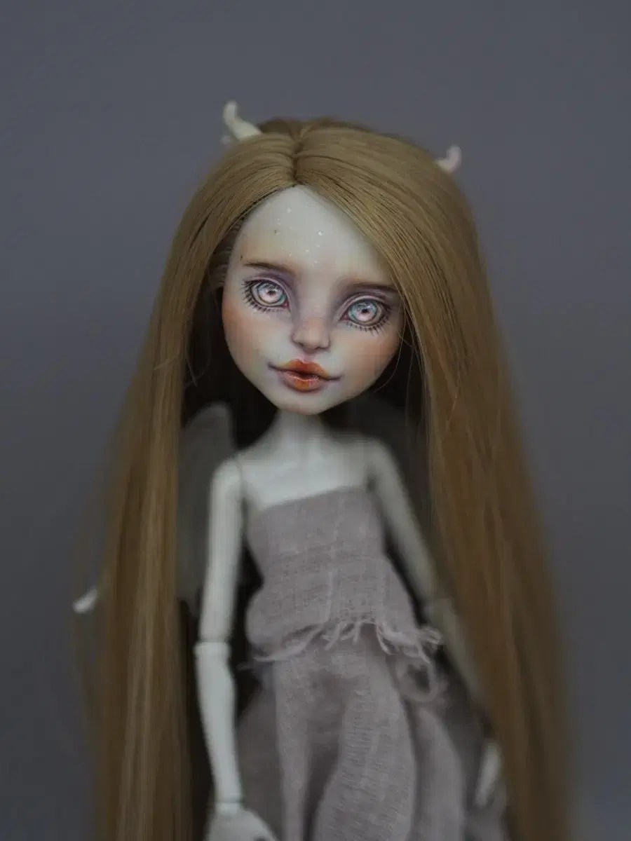 몬하돌 몬스터하이돌 monsterhighdoll ooakdoll