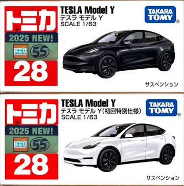 테슬라 모델 Y 2대 세트