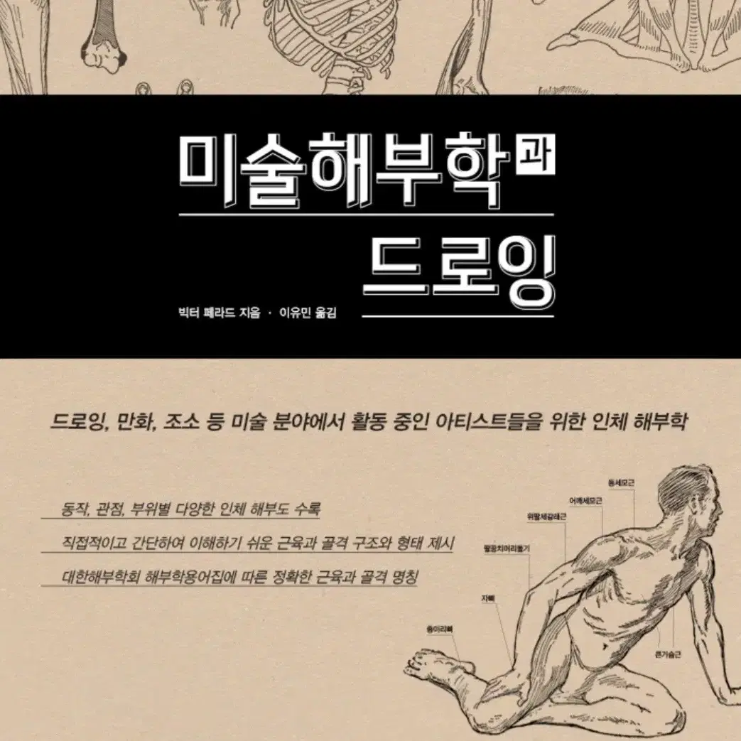 미술해부학과 드로잉