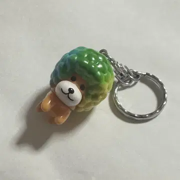 아프리카 개 키링 키링