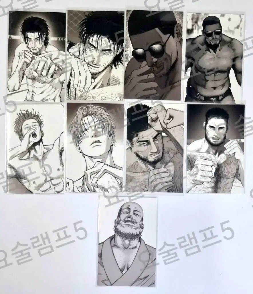 미스터블루 불굴의 챔피언 불챔 랜덤 포토카드9종 완성 세트