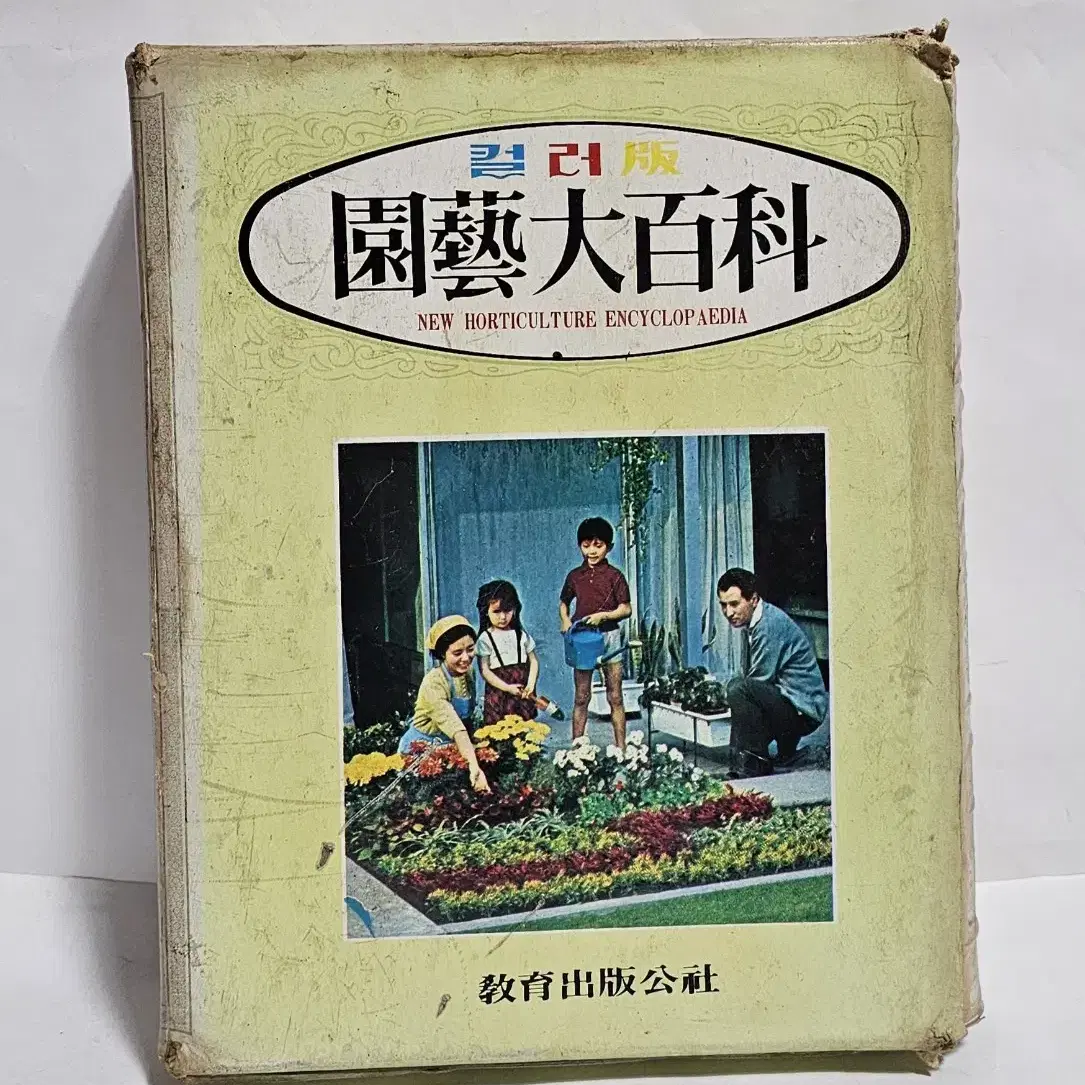 1981년 원예대백과 헌책