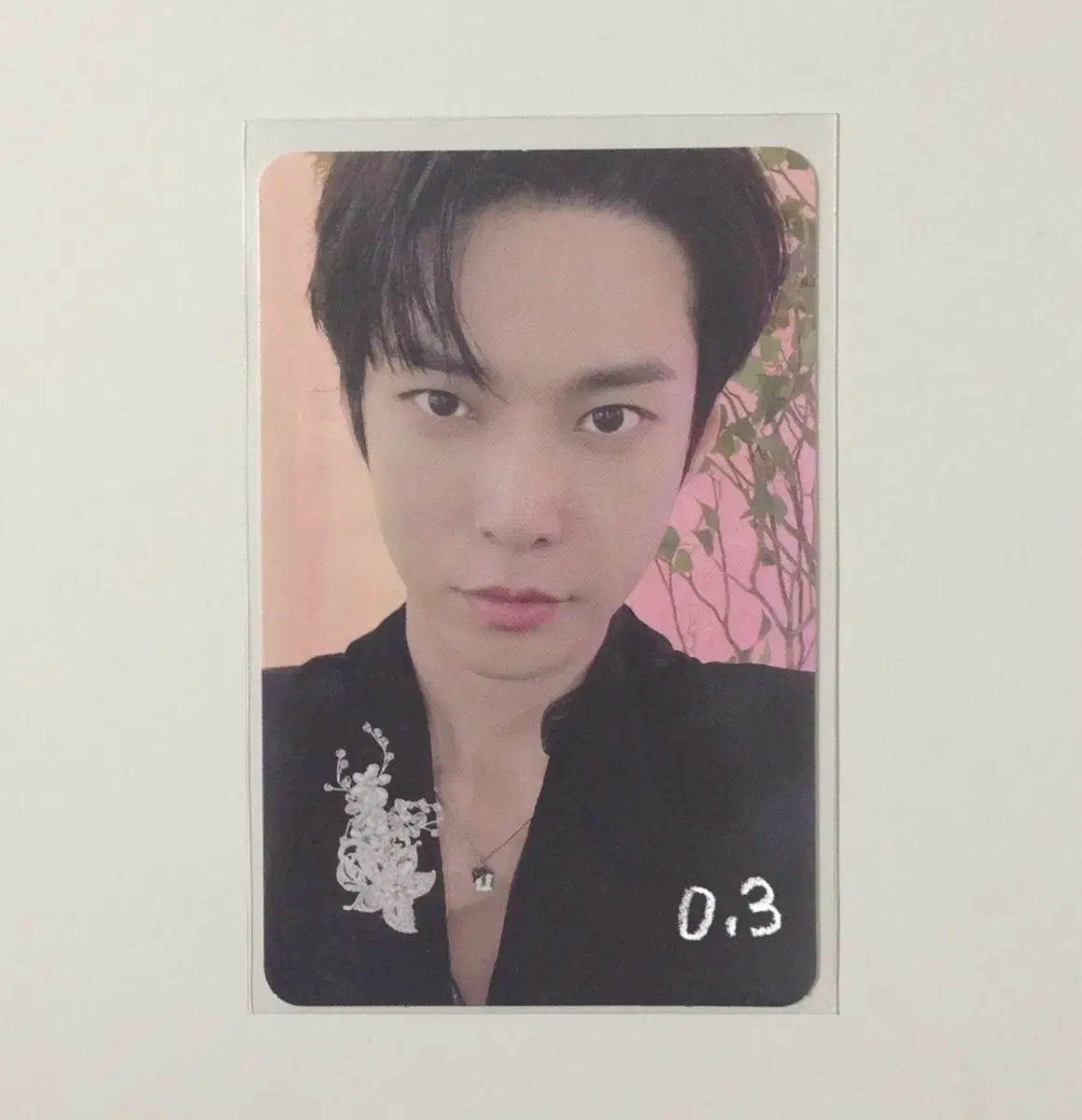 NCT 127 doyoung The Castle The Castle XR Live Photocard