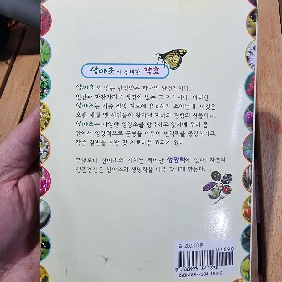 약이되는 산야초 300