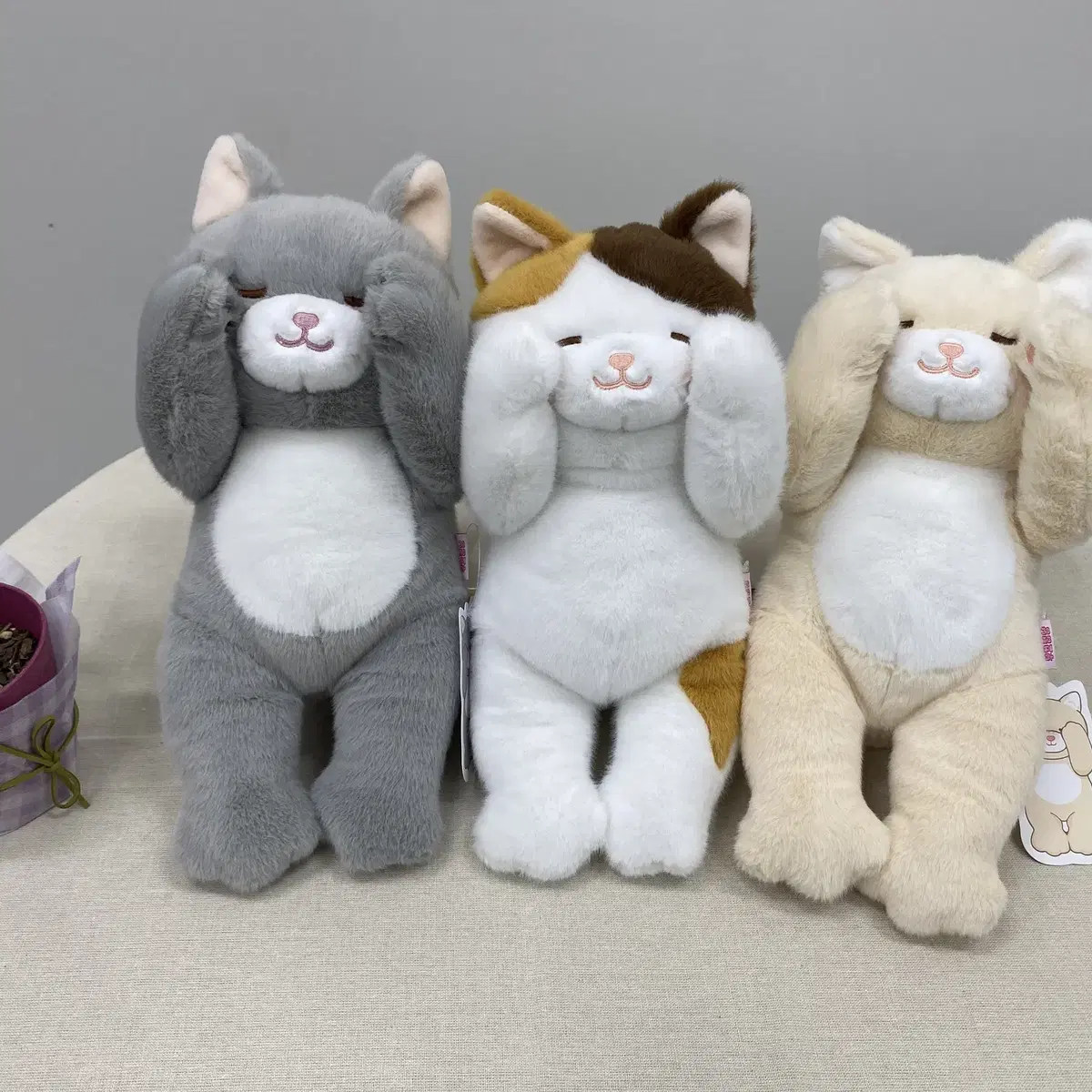 부끄럽냥 고양이 인형 30cm 3종