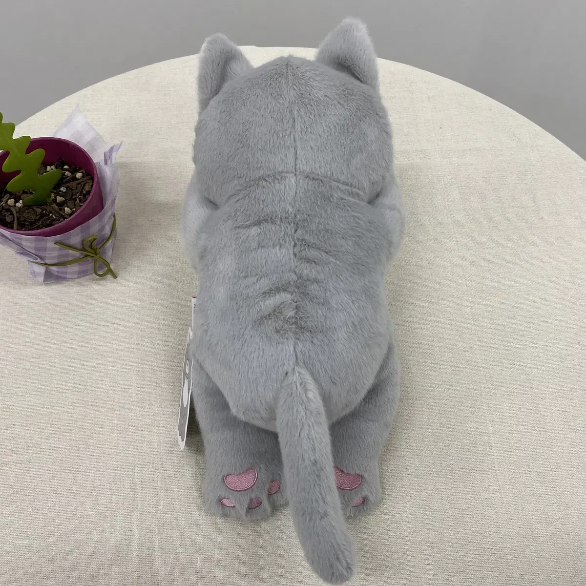 부끄럽냥 고양이 인형 30cm 3종