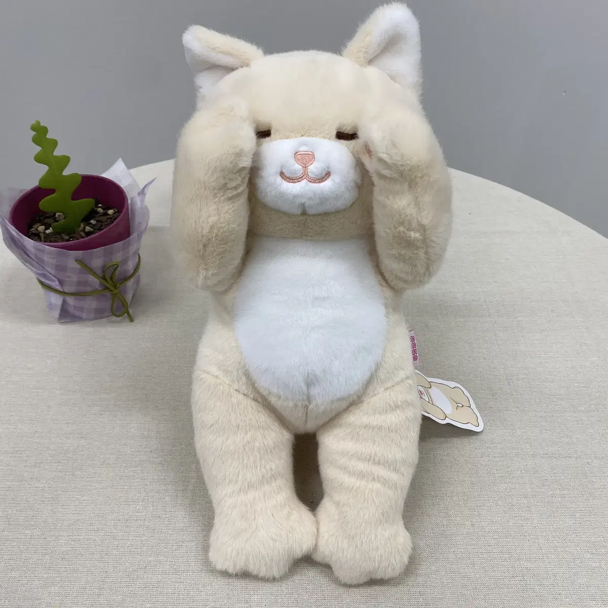 부끄럽냥 고양이 인형 30cm 3종