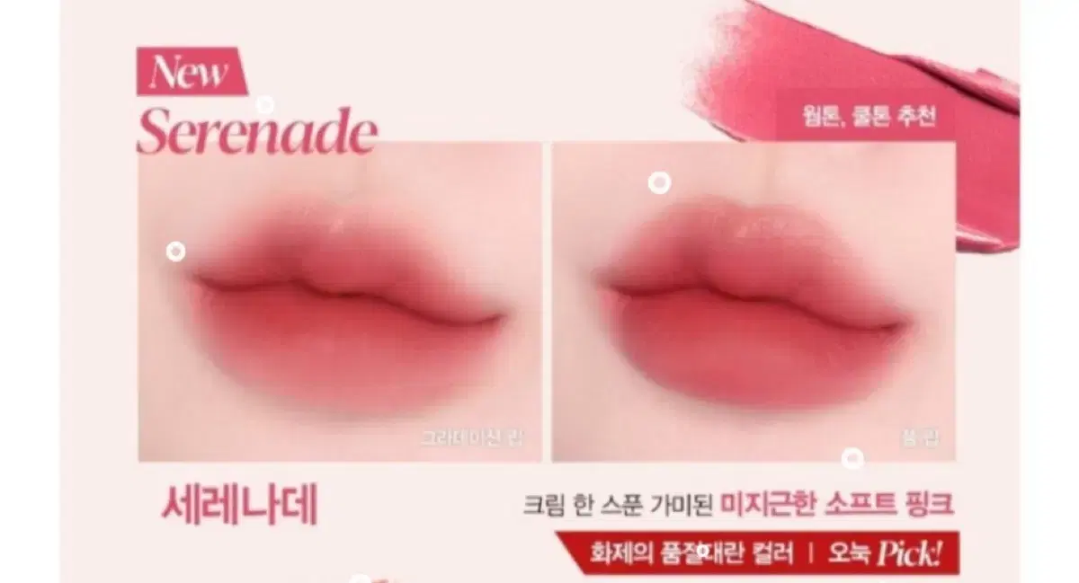 에스쁘아 꾸뛰르 립틴트 블러벨벳 미니 틴트 세레나데