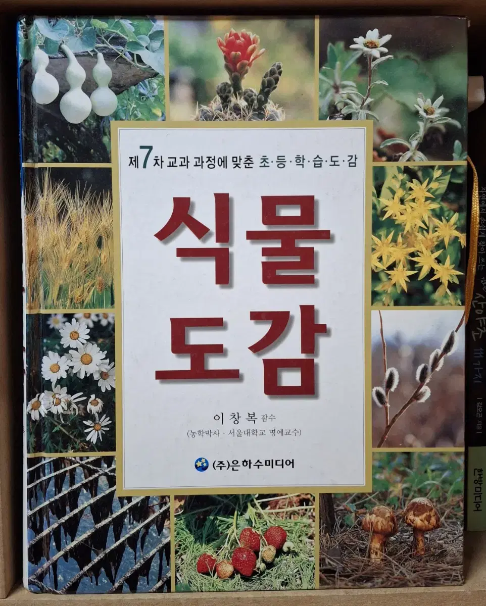 (은하수미디어 출판) 제7차 교과 과정에 맞춘 초등학습도감 - 식물도감