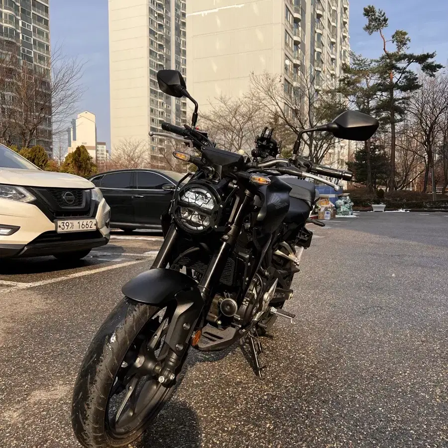 혼다 cb300r 24년식