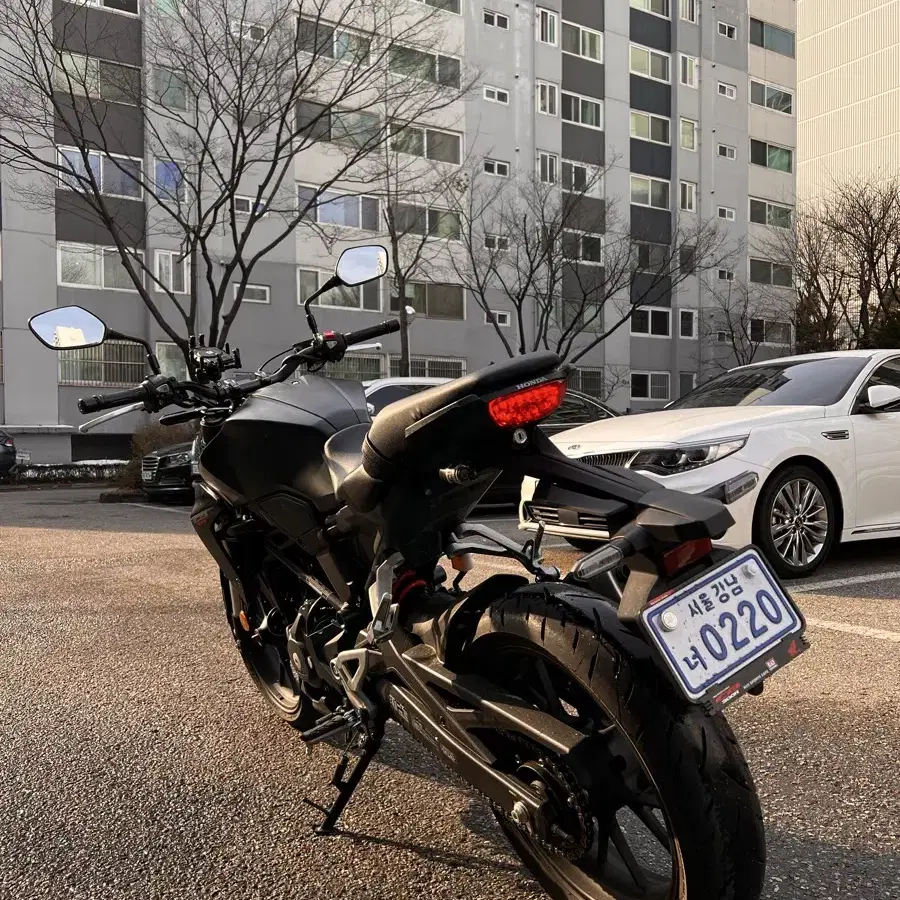 혼다 cb300r 24년식