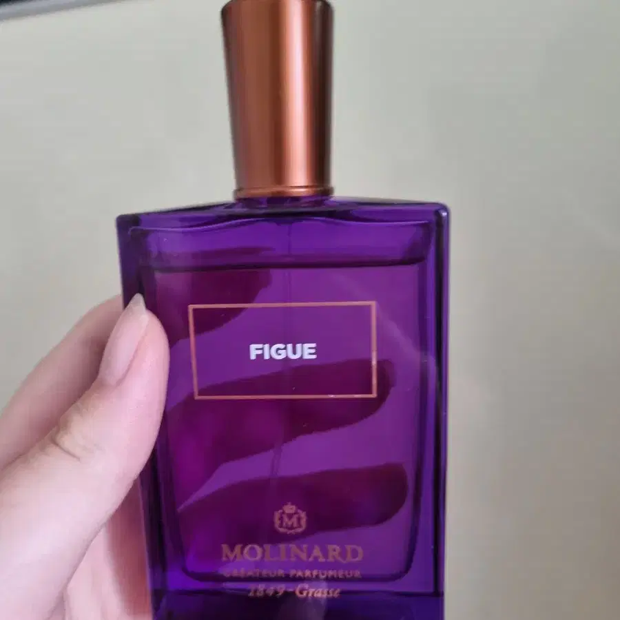 몰리나르 피그 75ml 향수