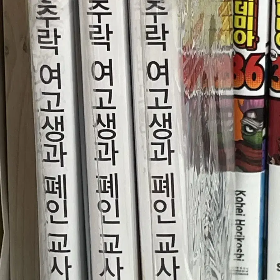 추락 여고생과 폐인 교사 일괄