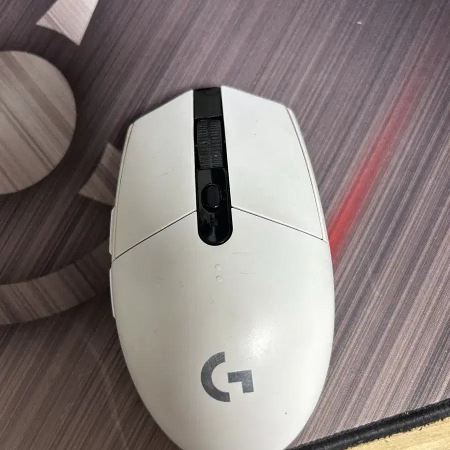 g304