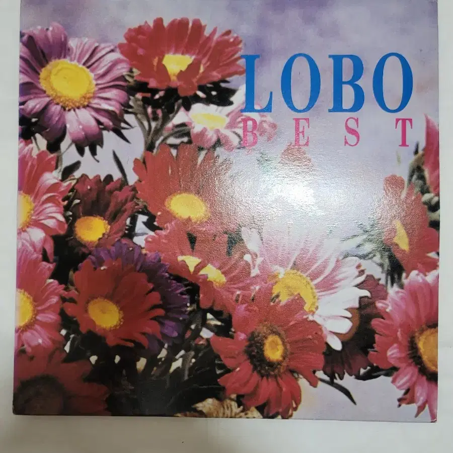 LOBO LP 베스트