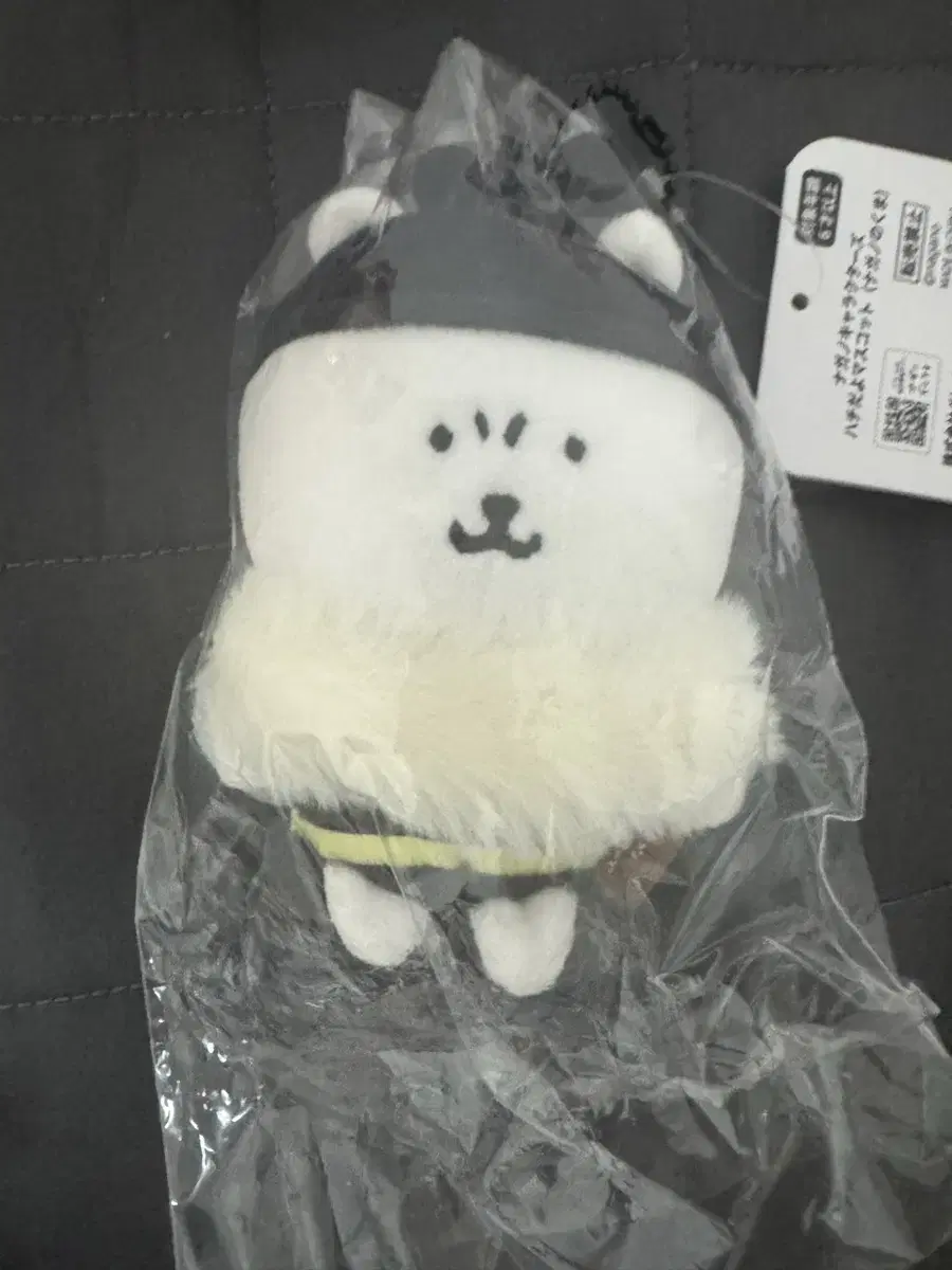 꿀벌 농담곰