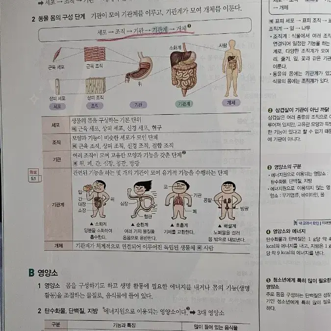 오투 중 2-2 2학년 2학기