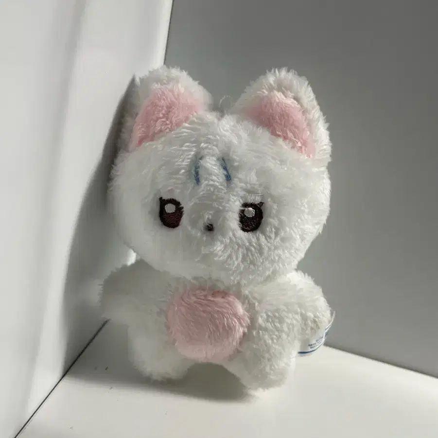 짜니냥 차니냥 더보이즈 뉴 10cm 인형