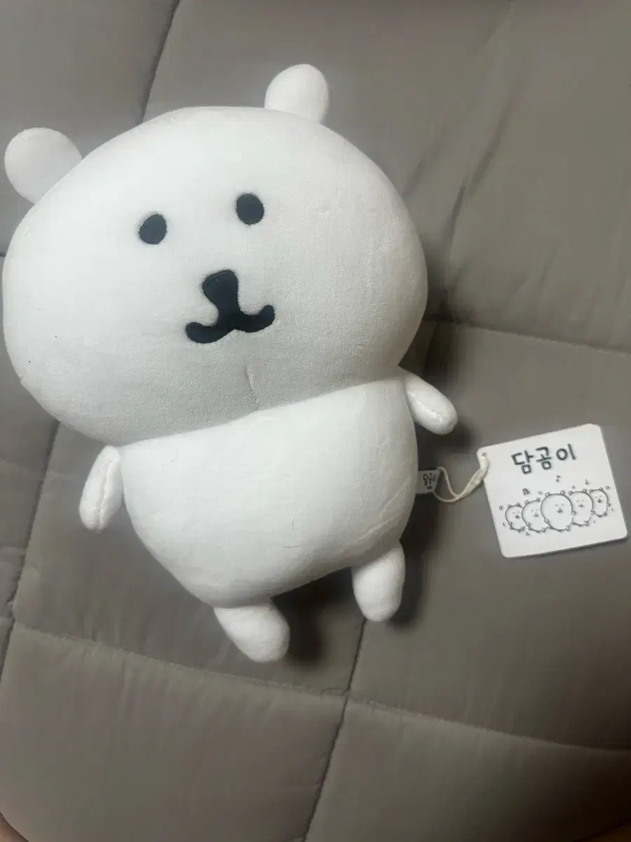 농담곰 인형 M 정품