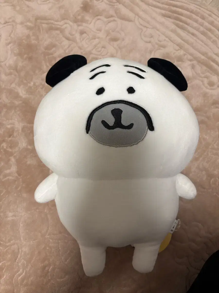 농담곰,퍼그상 인형 일괄