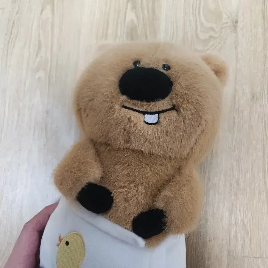 코커짱 빤쮸 27cm 인형