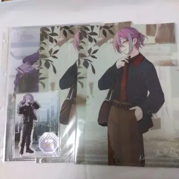 프로세카 카미시로 루이 ZOZOTOWN