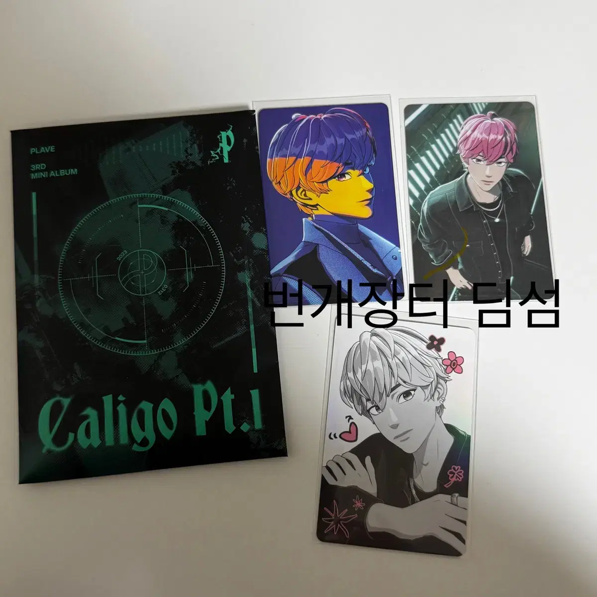 Plave Caligo Photocard Album bamby Bulk Transfer