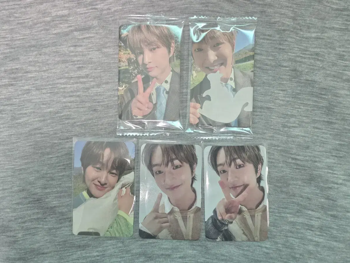 샤이니 온유 커넥션 미공포 포카