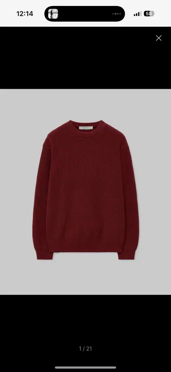 Intempo Mood Burgundy Knit