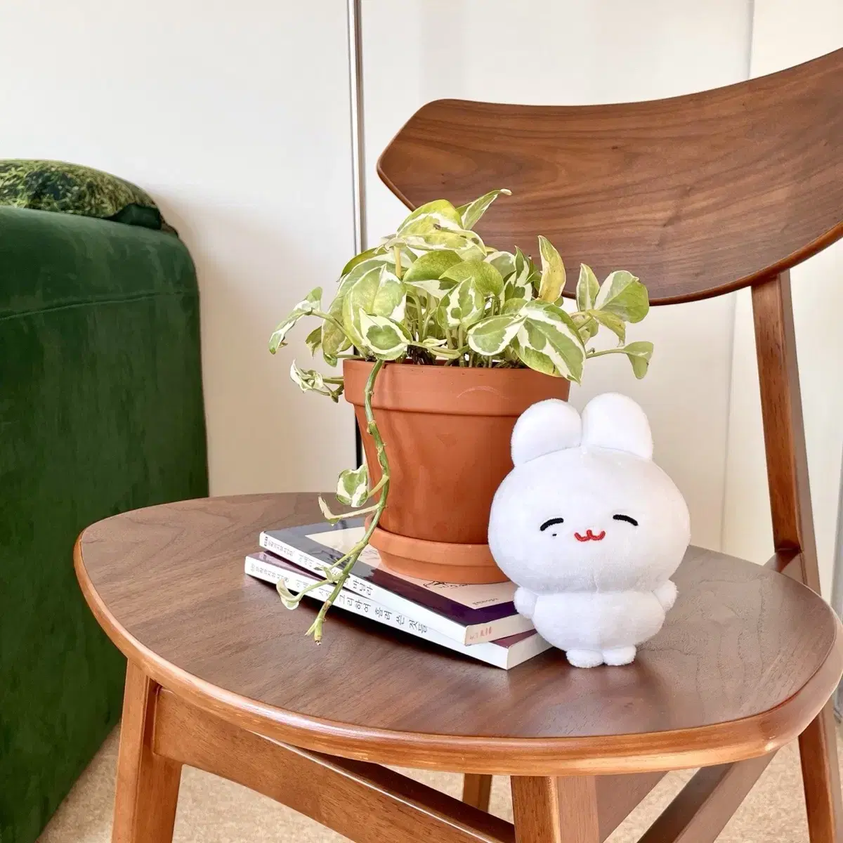 SEVENTEEN jeonghan doll 쫑삐 양도